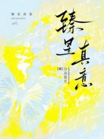 臻星什么意思